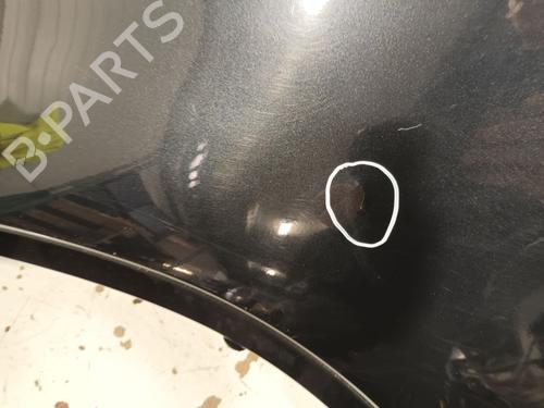 Left front fenders BMW X5 (E53) 3.0 d | BP20607483C41 