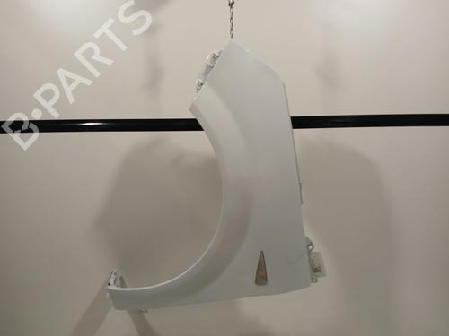 Used Left front fenders RENAULT SCÉNIC II (JM0/1_) 1.5 dCi (JM1F) (86 hp) 22616171