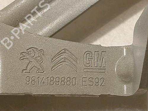 Hinge/Door check strap PEUGEOT 3008 II SUV (MC_, MR_, MJ_, M4_) 1.5 BlueHDi 130 | BP17381910C146