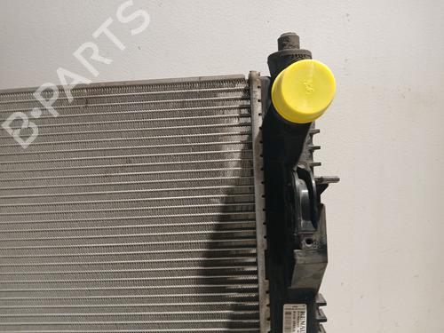 Water radiator DACIA SANDERO II | BP37018978M31 - Image 4