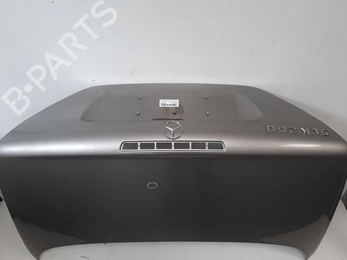 Tailgate MERCEDES-BENZ SLK (R170) 200 Kompressor (170.444) | BP21587325C6 