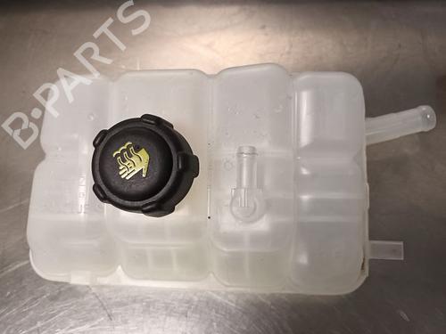 Used Expansion tank RENAULT ESPACE V (JR_) [2015-2023]  24879996