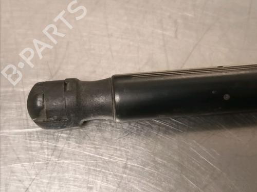 Tailgate lift support RENAULT SCÉNIC II (JM0/1_) 1.9 dCi (JM15) | BP14868426C138 