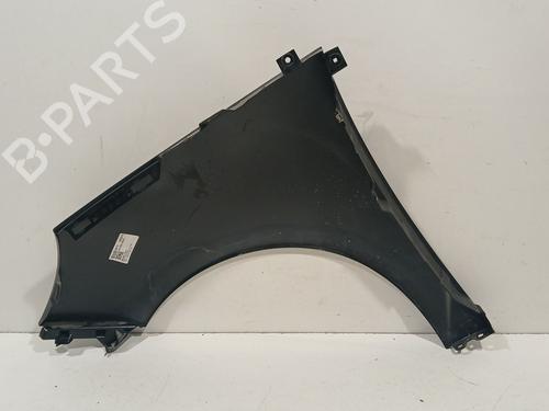 Right front fenders RENAULT SCÉNIC III (JZ0/1_) 1.5 dCi | BP29582658C42 