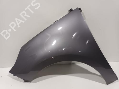 Used Left front fenders RENAULT SCÉNIC III (JZ0/1_) 1.9 dCi (JZ0J, JZ1J, JZ1K, JZ1S) (131 hp) 23141844
