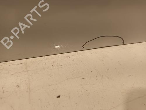 Right slide door RENAULT MASTER III Platform/Chassis (EV, HV, UV)  | BP29820573C75
