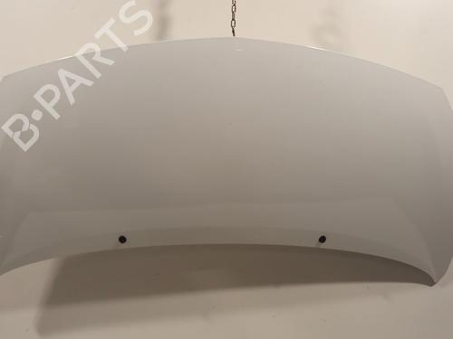 Motorhjelm Motorhjelm RENAULT TWINGO II Hatchback Van (CNO_) 1.5 dCi (CN03) (75 hp) 36035661 36035661