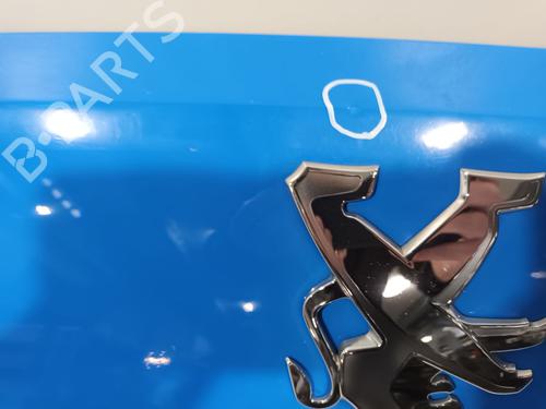 Hood PEUGEOT BOXER Van 2.2 HDi 150 | BP25752697C1 