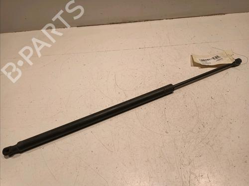 Used Tailgate lift support LAND ROVER RANGE ROVER SPORT I (L320) 2.7 D 4x4 (190 hp) 18204345