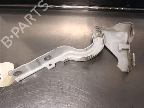 Hinge/Door check strap FIAT TIPO Hatchback (356_, 357_) 1.4 (356HXA1B) 52122008