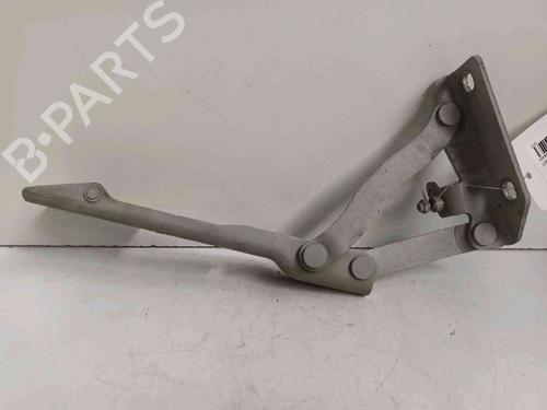 Hinge/Door check strap BMW 5 (E60) 525 i | BP20604231C146 