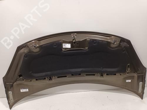 Hood CITROËN C3 II (SC_) 1.4 HDi 70 (SC8HZC, SC8HR0, SC8HP4) | BP29327953C1 