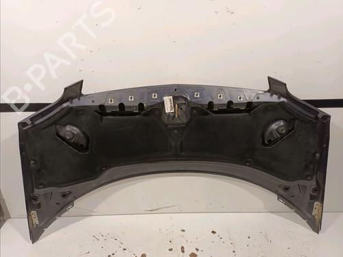 Hood LANCIA PHEDRA (179_) 2.2 JTD (179AXC1A) | BP15099882C1 
