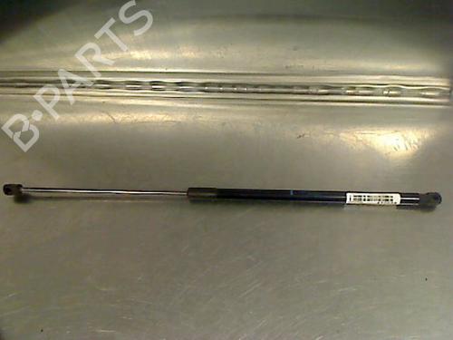 Tailgate lift support RENAULT MEGANE III Coupe (DZ0/1_) 1.5 dCi (DZ09, DZ0D, DZ1F, DZ1G, DZ14, DZ29) 534913081883