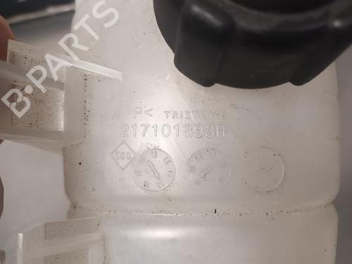 Expansion tank RENAULT TRAFIC III Van (FG_) 1.6 dCi 120 (FGMB, FGMC) | BP21781654C120 