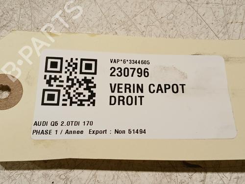 Hood lift support AUDI Q5 (8RB) 2.0 TDI quattro | BP20608092C139 
