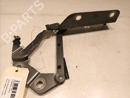 Hinge/Door check strap LAND ROVER RANGE ROVER EVOQUE (L538) 2.0 D | BP16537803C146 