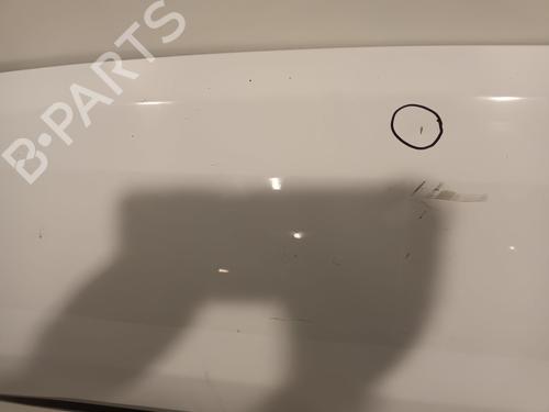 Hood FIAT DUCATO Platform/Chassis (250_) 130 Multijet 2,3 D | BP22616212C1 