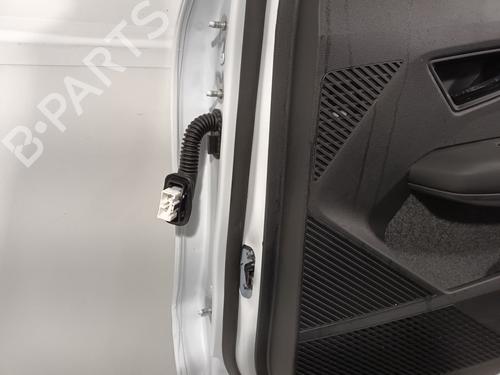 Tür rechts hinten RENAULT SCENIC E-TECH PHASE I EV87 | BP30801197C5