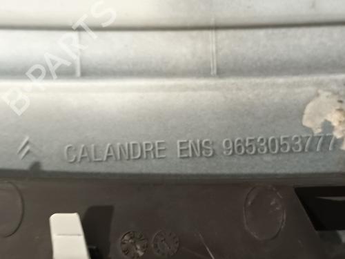 Grille CITROËN C3 I (FC_, FN_) 1.4 HDi | BP21124385C40 