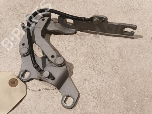 Used Hinge/Door check strap BMW 3 Touring (E91) 320 d (184 hp) 20607390