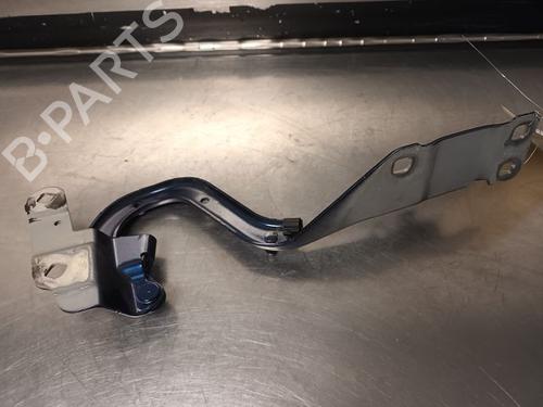 Hinge/Door check strap RENAULT ESPACE V (JR_)  | BP20602142C146 