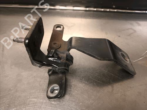 Hinge/Door check strap LAND ROVER RANGE ROVER SPORT I (L320) 3.6 D 4x4 | BP14867820C146 
