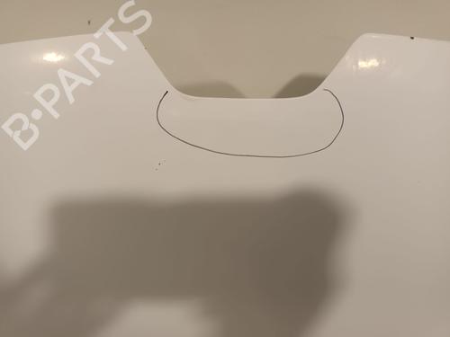 Hood RENAULT KANGOO Express (FW0/1_) 1.5 dCi 90 (FW0G, FW05, FW08, FW11) | BP29349459C1 