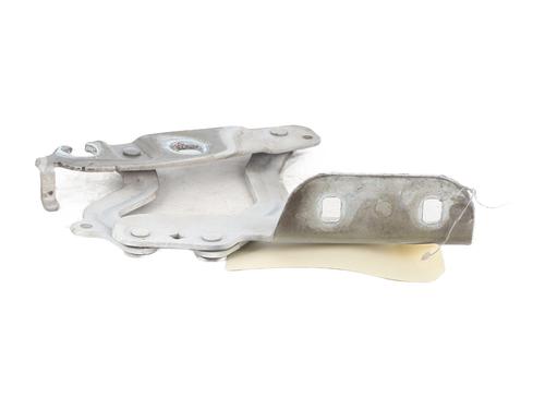 hingedoor-check-strap-ford-fiesta-vi-cb1-ccn-2008-36183513 main image