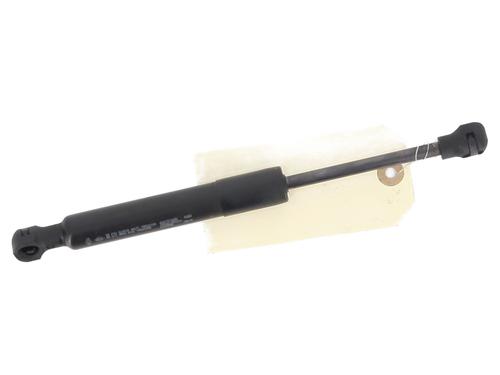 Used Hood lift support RENAULT ZOE (BFM_) [2012-2025]  26949064
