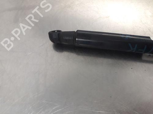 Hood lift support BMW 1 (E87) 116 d | BP14866178C139 