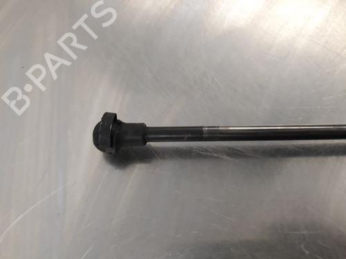 Tailgate lift support BMW 3 Compact (E46) 316 ti | BP21605024C138 