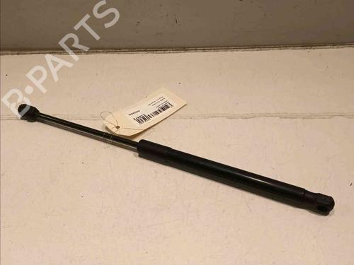 Used Hood lift support BMW X1 (F48) sDrive 16 d (116 hp) 20605148