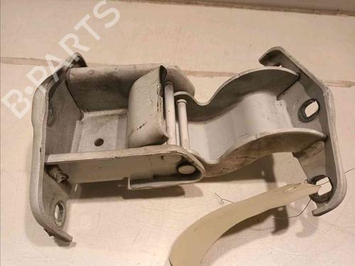 Hinge/Door check strap RENAULT TRAFIC III Van (FG_)  | BP20605164C146