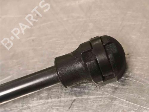 Hood lift support NISSAN NV250 Van (X61)  | BP21605255C139 