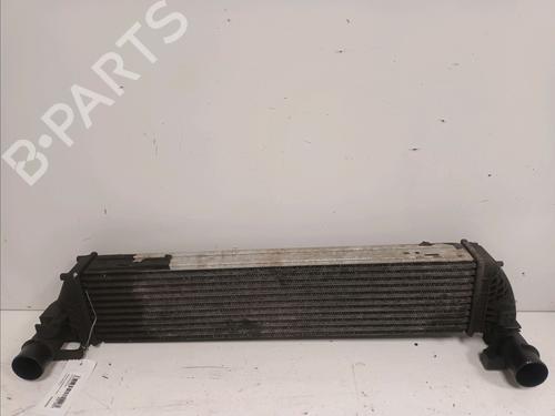 Used Intercooler RENAULT LAGUNA II Grandtour (KG0/1_) 1.9 dCi (KG1V) (130 hp) 14858692
