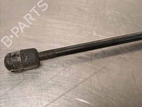 Tailgate lift support RENAULT SCÉNIC II (JM0/1_) 1.9 dCi (JM14) | BP14868091C138 