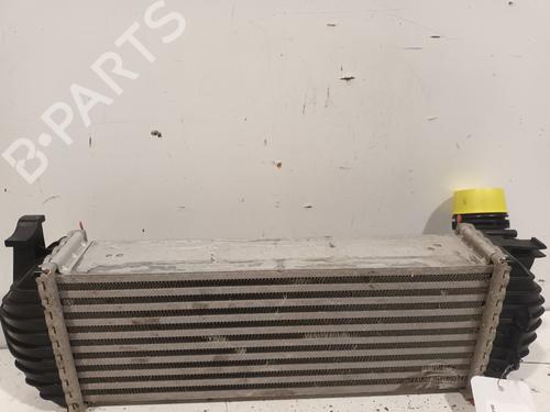Intercooler MERCEDES-BENZ CITAN Box Body/MPV (W415)  | BP25023585M30 