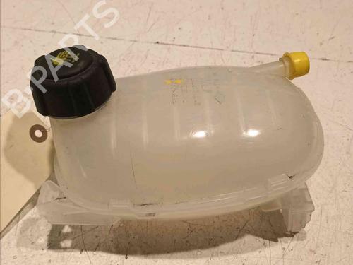 Used Expansion tank DACIA SANDERO III 1.0 TCe 90 (91 hp) 20606049