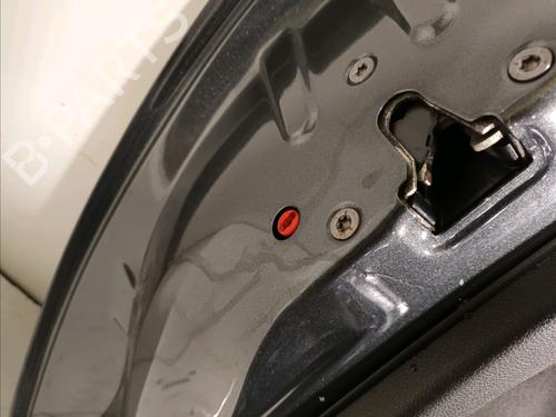 Left rear door PEUGEOT 206+ (2L_, 2M_) 1.1 | BP18896377C4 