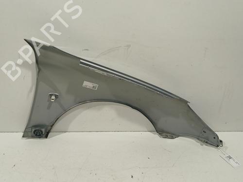 Left front fenders PEUGEOT 206 Hatchback (2A/C) 1.4 i | BP29582673C41 
