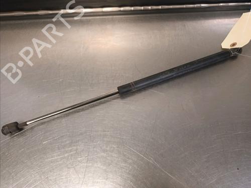 Tailgate lift support OPEL SIGNUM Hatchback (Z03) 1.9 CDTI (F48) 13191401