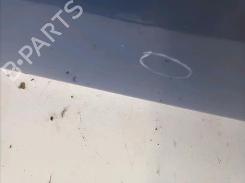 Right front door NISSAN MICRA III (K12) 1.2 16V | BP14948727C3 