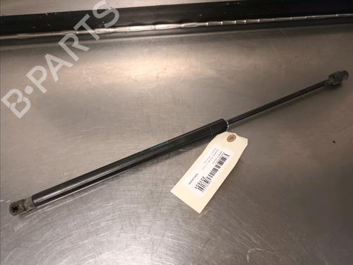 Used Tailgate lift support RENAULT SCÉNIC II (JM0/1_) 1.9 dCi (JM15) (110 hp) 14868116