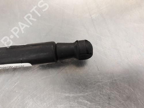 Hood lift support RENAULT SCÉNIC IV (J9_) 1.5 dCi 110 | BP20604873C139 