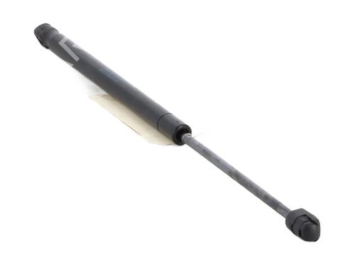 Tailgate lift support CITROËN C3 I (FC_, FN_) 1.1 i | BP30049969C138