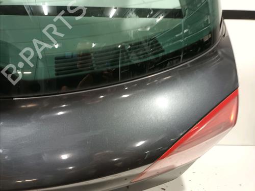 Tailgate RENAULT VEL SATIS (BJ0_) 2.2 dCi (BJ0E, BJ0F) | BP15492054C6 