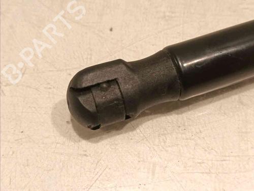 Hood lift support BMW X1 (F48) sDrive 16 d | BP20605147C139 
