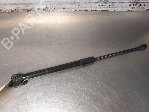 Used Tailgate lift support TOYOTA YARIS (_P13_) 1.4 D (NLP130_, NLP130) (90 hp) 14867970
