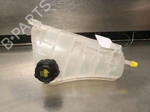 Used Expansion tank RENAULT KANGOO Express (FW0/1_) Z.E. (FW0Z, FW1Z) (60 hp) 21139110